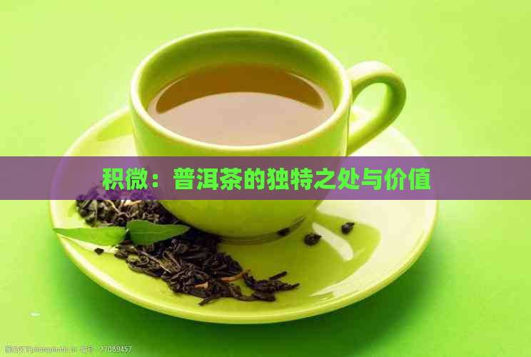 积微：普洱茶的独特之处与价值