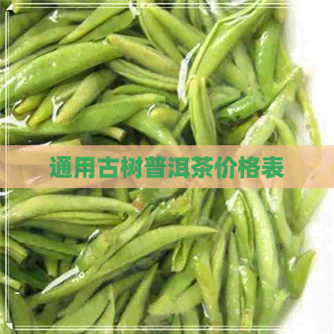 通用古树普洱茶价格表