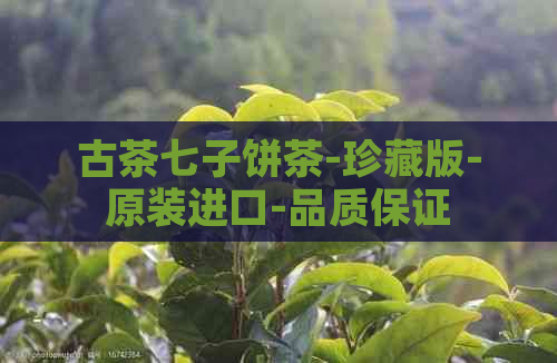 古茶七子饼茶-珍藏版-原装进口-品质保证