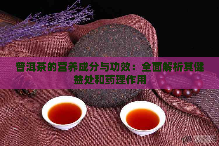 普洱茶的营养成分与功效：全面解析其健益处和药理作用