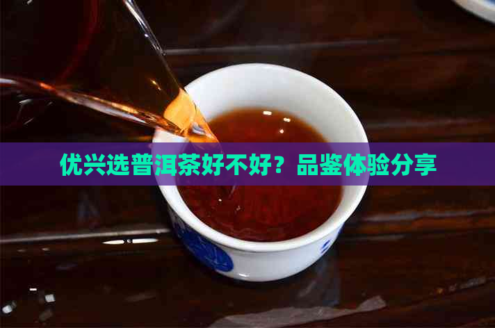 优兴选普洱茶好不好？品鉴体验分享