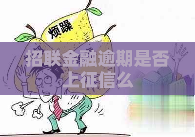 招联金融逾期是否上么