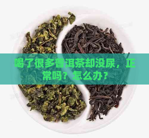 喝了很多普洱茶却没尿，正常吗？怎么办？