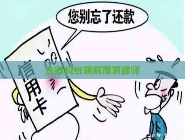 金融纠纷调解南京律师