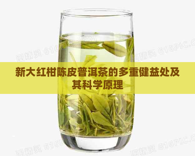 新大红柑陈皮普洱茶的多重健益处及其科学原理