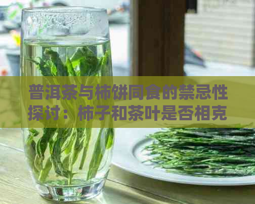 普洱茶与柿饼同食的禁忌性探讨：柿子和茶叶是否相克？