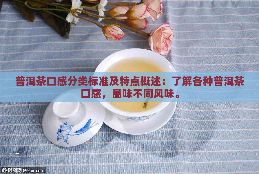 普洱茶口感分类标准及特点概述：了解各种普洱茶口感，品味不同风味。