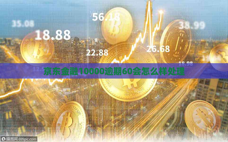 京东金融10000逾期60会怎么样处理