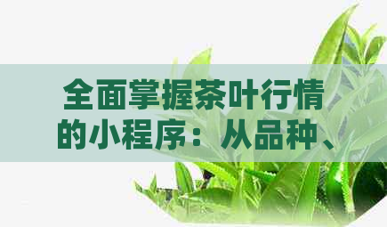 全面掌握茶叶行情的小程序：从品种、产地、价格到市场动态一应俱全