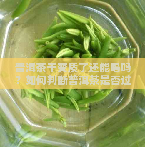 普洱茶干变质了还能喝吗？如何判断普洱茶是否过期？