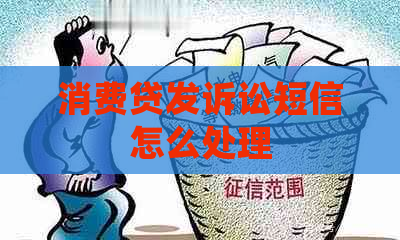 消费贷发诉讼短信怎么处理