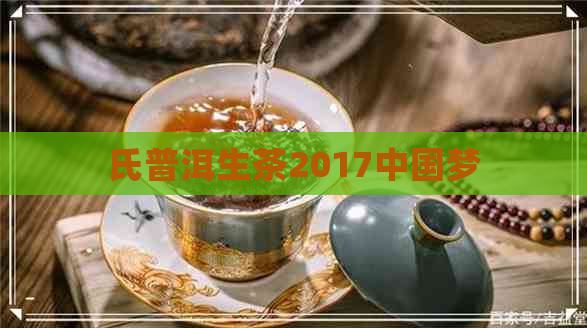 氏普洱生茶2017中国梦