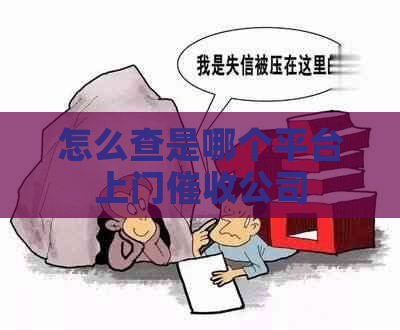 怎么查是哪个平台上门公司