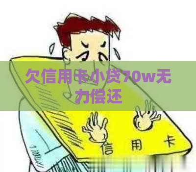 欠信用卡小贷70w无力偿还