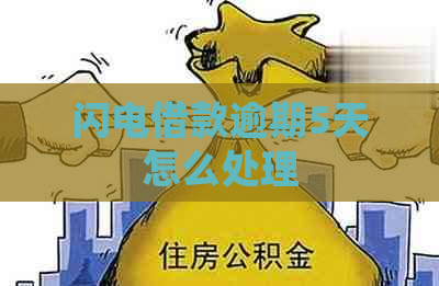 闪电借款逾期5天怎么处理