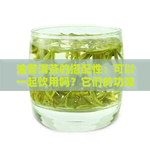 油普洱茶的搭配性：可以一起饮用吗？它们的功效和注意事项有哪些？