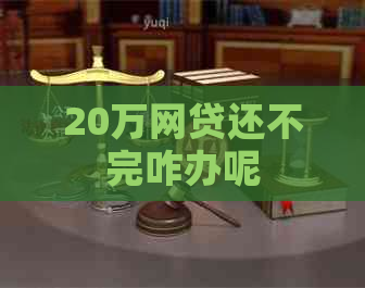 20万网贷还不完咋办呢