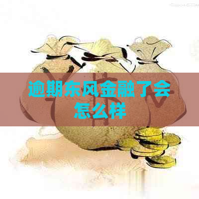 逾期东风金融了会怎么样