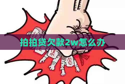 欠款2w怎么办