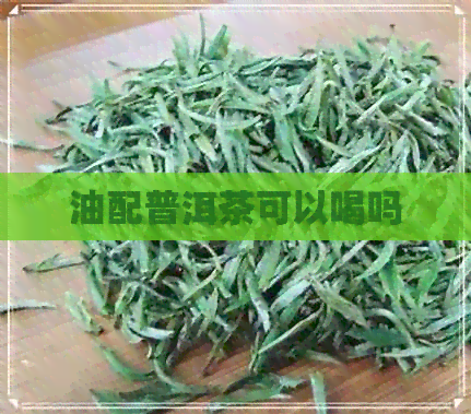 油配普洱茶可以喝吗