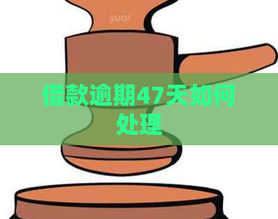 借款逾期47天如何处理