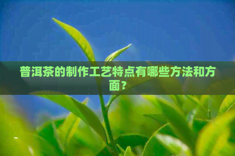 普洱茶的制作工艺特点有哪些方法和方面？