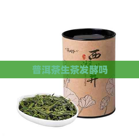 普洱茶生茶发酵吗