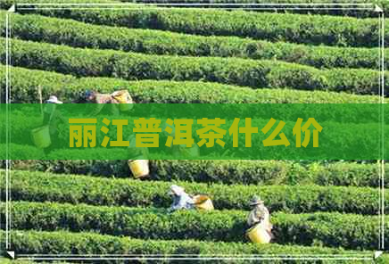 丽江普洱茶什么价