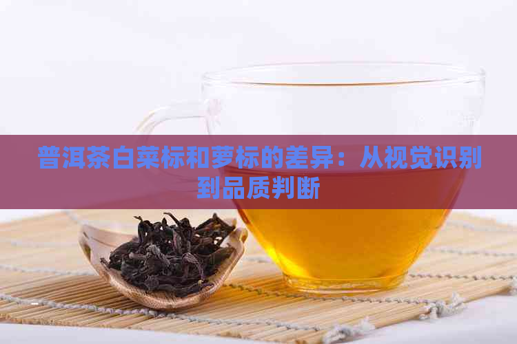 普洱茶白菜标和萝标的差异：从视觉识别到品质判断