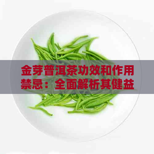 金芽普洱茶功效和作用禁忌：全面解析其健益处与潜在风险