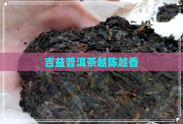 吉益普洱茶越陈越香