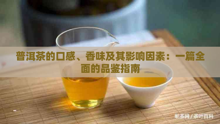 普洱茶的口感、香味及其影响因素：一篇全面的品鉴指南