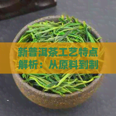 新普洱茶工艺特点解析：从原料到制作的全过程详解