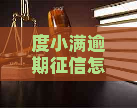 度小满逾期怎么查