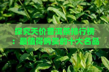 探究天价普洱茶排行榜：最值得购买的十大名品及其独特价值