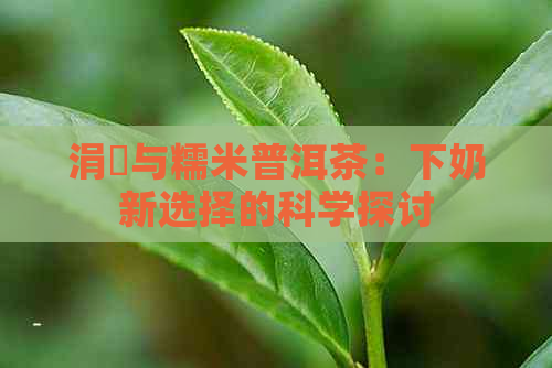 涓嬪与糯米普洱茶：下奶新选择的科学探讨