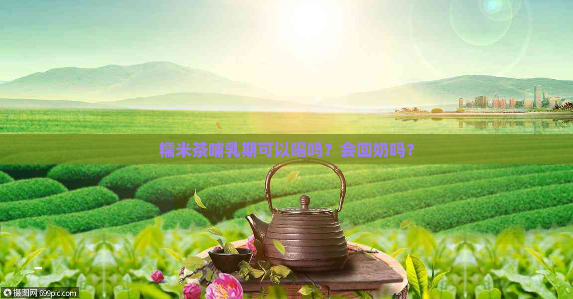 糯米茶哺乳期可以喝吗？会回奶吗？