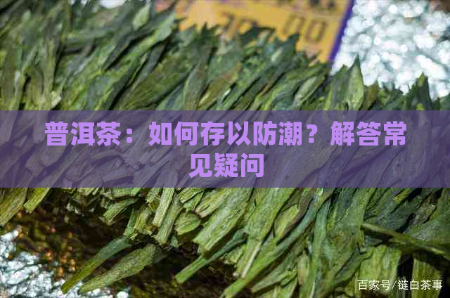 普洱茶：如何存以防潮？解答常见疑问