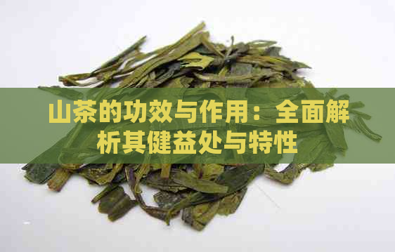 山茶的功效与作用：全面解析其健益处与特性