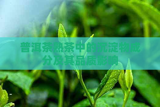 普洱茶熟茶中的沉淀物成分及其品质影响