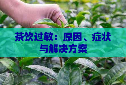 茶饮过敏：原因、症状与解决方案