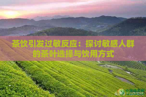 茶饮引发过敏反应：探讨敏感人群的茶叶选择与饮用方式