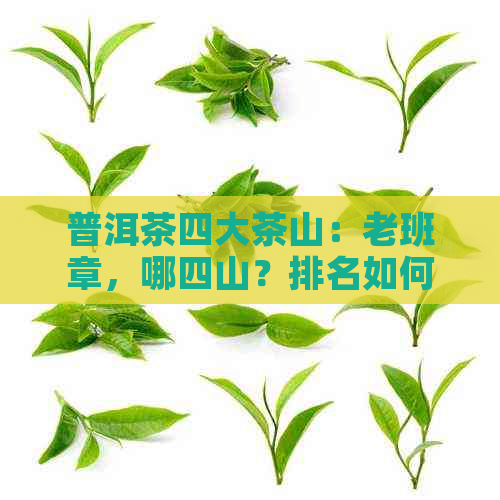 普洱茶四大茶山：老班章，哪四山？排名如何？