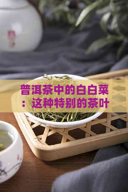 普洱茶中的白白菜：这种特别的茶叶品种解析