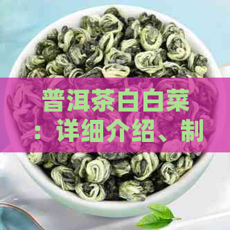 普洱茶白白菜：详细介绍、制作方法及品饮技巧，帮助您全面了解这种茶类