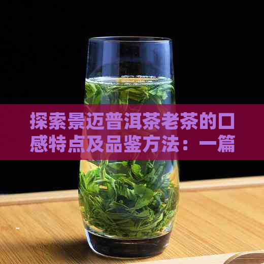 探索景迈普洱茶老茶的口感特点及品鉴方法：一篇全面解答新手常见问题的文章