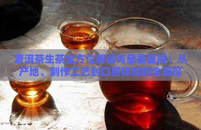 普洱茶生茶全方位解读与品鉴直播：从产地、制作工艺到口感体验的全面探讨