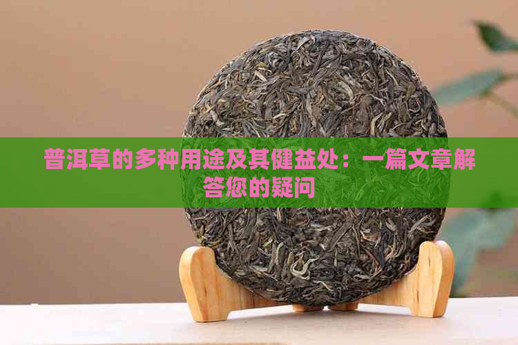 普洱草的多种用途及其健益处：一篇文章解答您的疑问