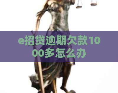 e招贷逾期欠款1000多怎么办