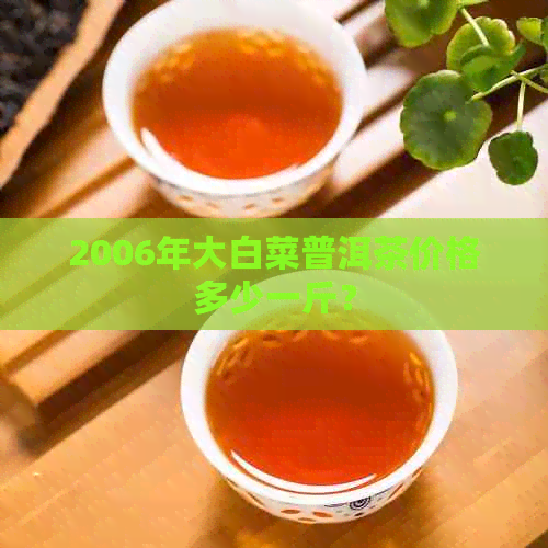 2006年大白菜普洱茶价格多少一斤？